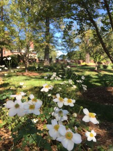 DuBose House gardens