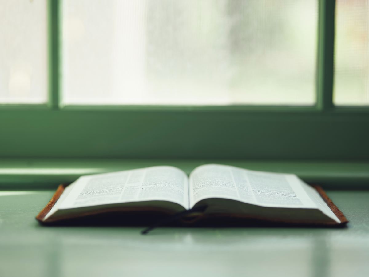 Photo of an open book on a table